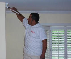 What Color Should I Paint My Interior Trim?