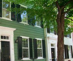 Can Vinyl Shutters Be Painted? NOVA Painting Tips