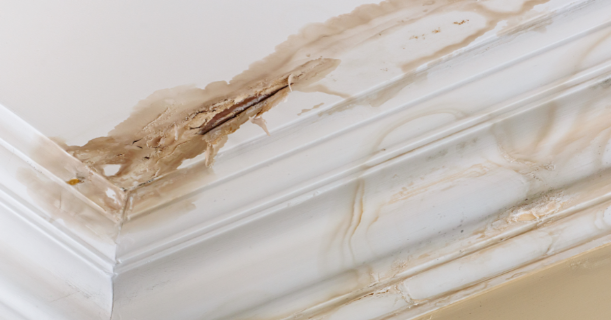 Can I Paint over Water Stains? Williams Painting