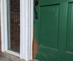  House Painting Tips: Repairing Pet Damage