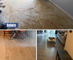  Project Spotlight: Water Damage Restoration in Silver Spring, MD