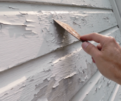  The Hidden Costs of Cheap Paint Jobs