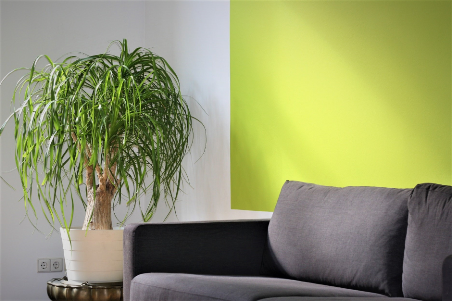  Interior Painting Tips: Accent Walls