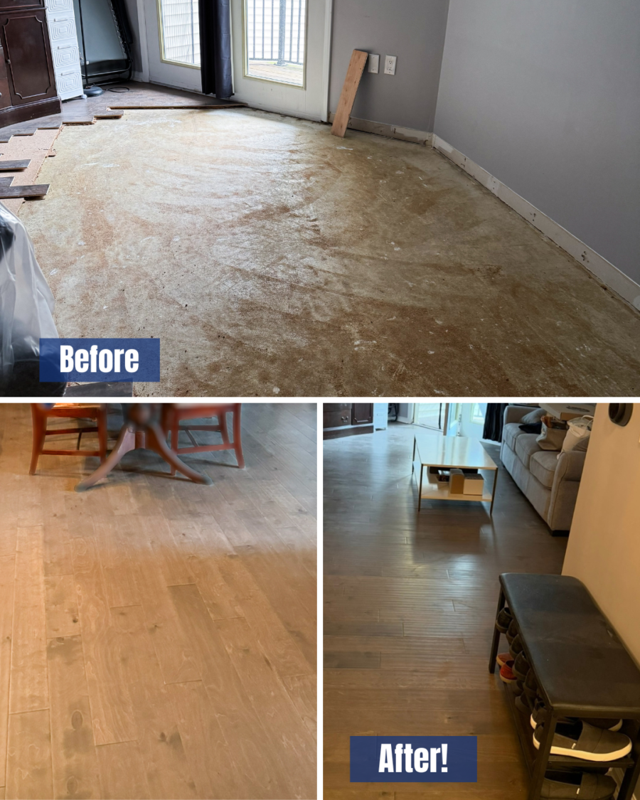  Project Spotlight: Water Damage Restoration in Silver Spring, MD
