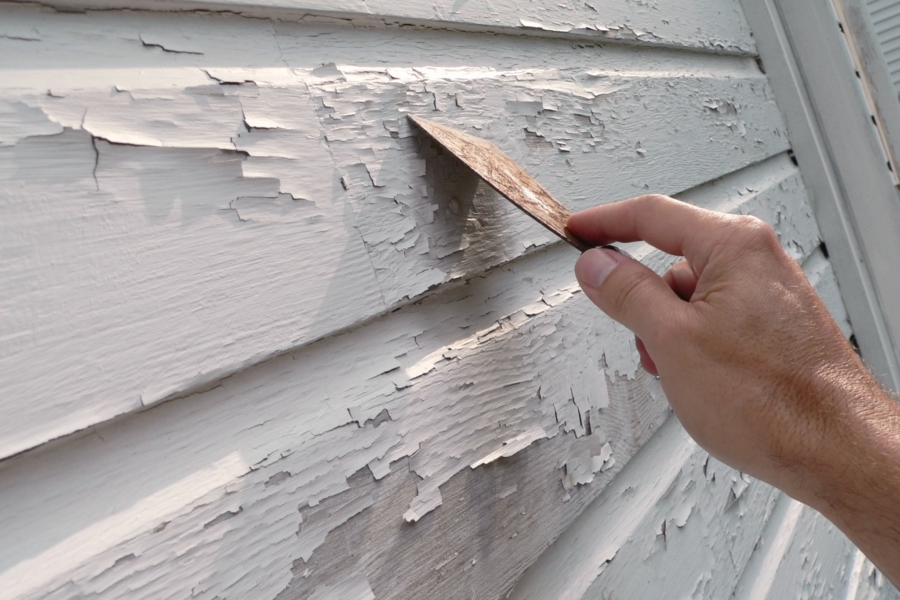  The Hidden Costs of Cheap Paint Jobs