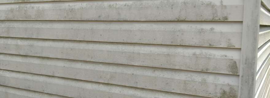  Mildew on Your Siding? Here's What You Do